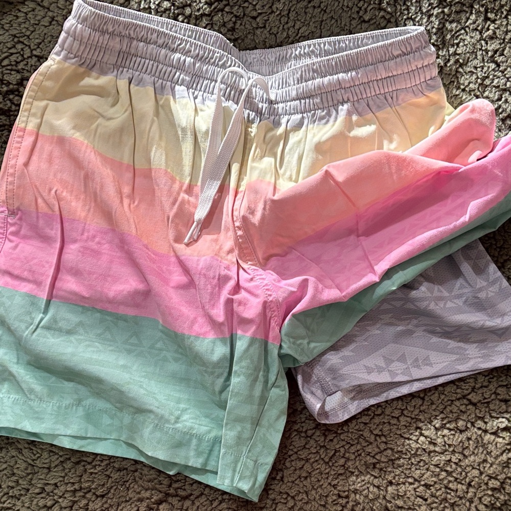 Chubbies Gray Mesh Shorts